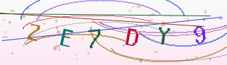 Verification code image