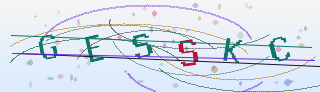Verification code image